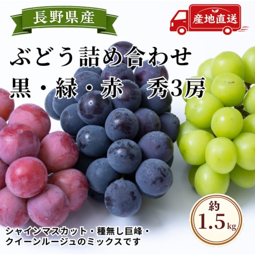 [予約直送]長野県産ぶどう詰め合わせ 種無し巨峰ぶどう・シャインマスカット・クイーンルージュ 秀3房 約1.5kg 【綿半秋の果物】【9月下旬～10月下旬順次発送】【配送指定日不可】