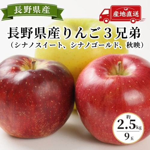 [予約直送]長野県産りんご３兄弟 秋映・シナノスイート・シナノゴールド 9玉 約2.5kg 【綿半秋の果物】【10月下旬～11月中旬順次発送】【配送指定日不可】