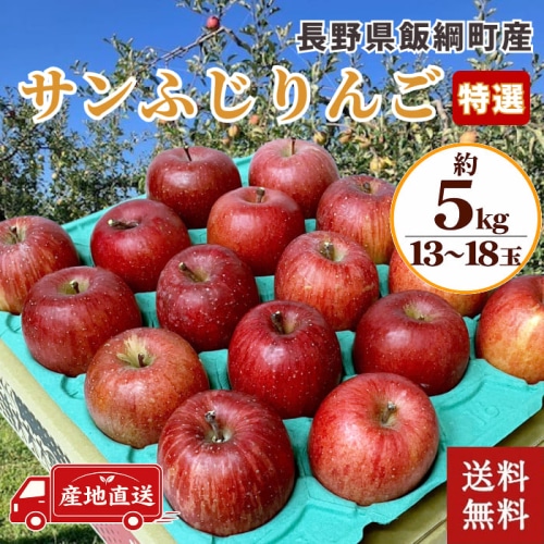 [予約直送]長野県飯綱町産 サンふじりんご 特選 5kg 13～18玉 【綿半お歳暮】【12/1～12/26順次発送】【配送指定日不可】