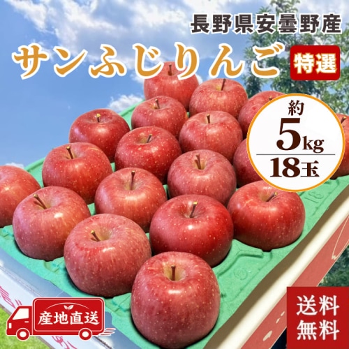 [予約直送]送料無料 長野県安曇野産 サンふじりんご 特選 5kg 18玉 【綿半お歳暮】【12/1～12/26順次発送】【配送指定日不可】