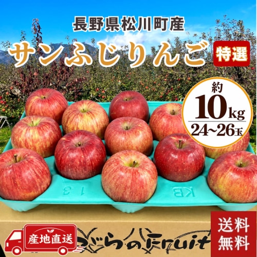 [予約直送]送料無料 長野県松川町産 サンふじりんご 特選 10kg 24～26玉 【綿半お歳暮】【12/1～12/26順次発送】【配送指定日不可】