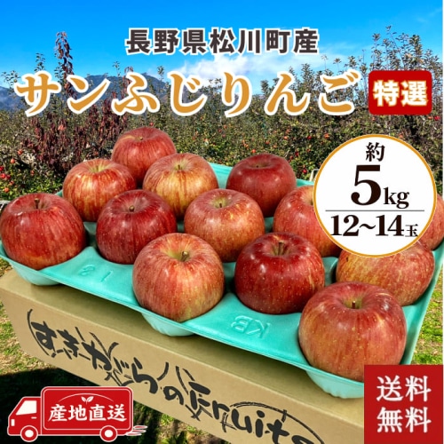 [予約直送]送料無料 長野県松川町産 サンふじりんご 特選 5kg 12～14玉 【綿半お歳暮】【12/1～12/26順次発送】【配送指定日不可】
