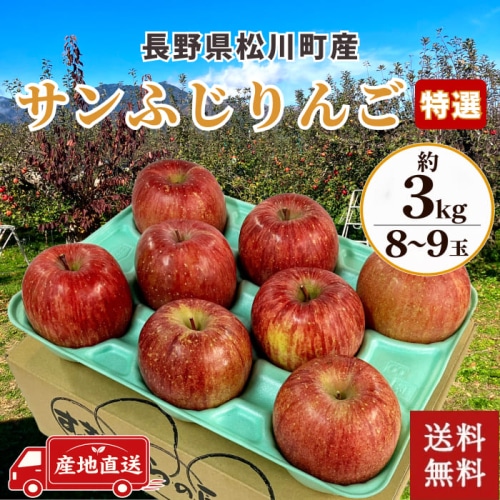[予約直送]送料無料 長野県松川町産 サンふじりんご 特選 3kg 8～9玉 【綿半お歳暮】【12/1～12/26順次発送】【配送指定日不可】