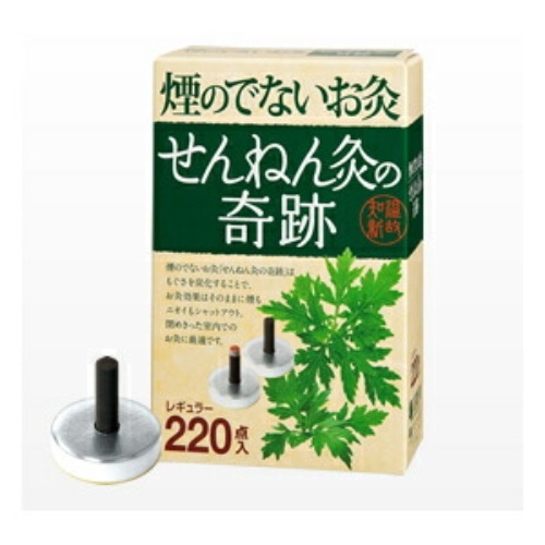 煙のでないお灸 せんねん灸の奇跡 レギュラー 220点入