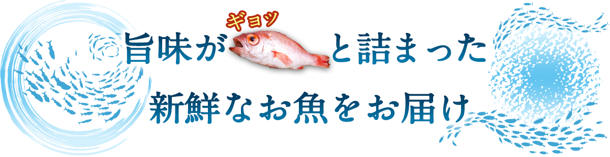 新鮮なお魚をお届け