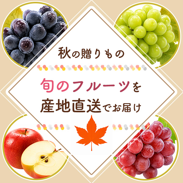 秋の贈りもの2026